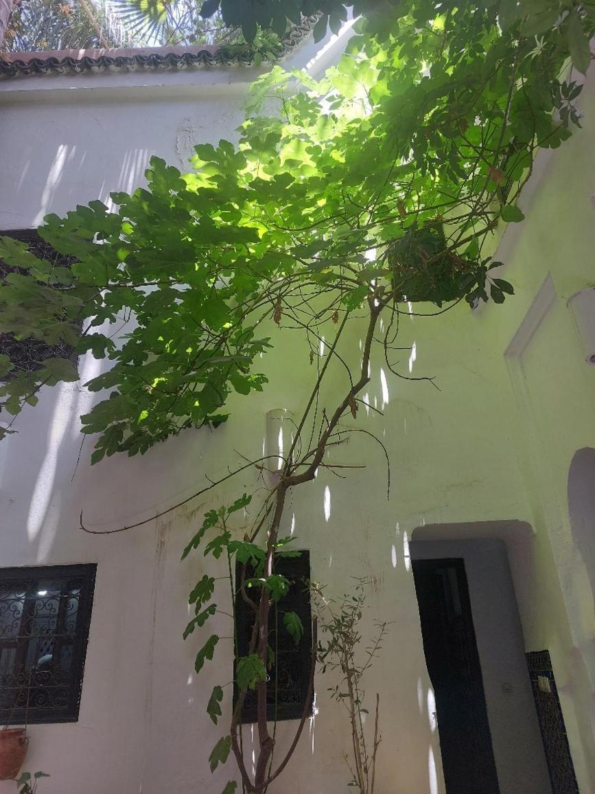 Riad Dar Lalla Fatna مراكش المظهر الخارجي الصورة